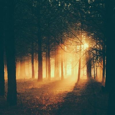 kok全站app官网登录入口